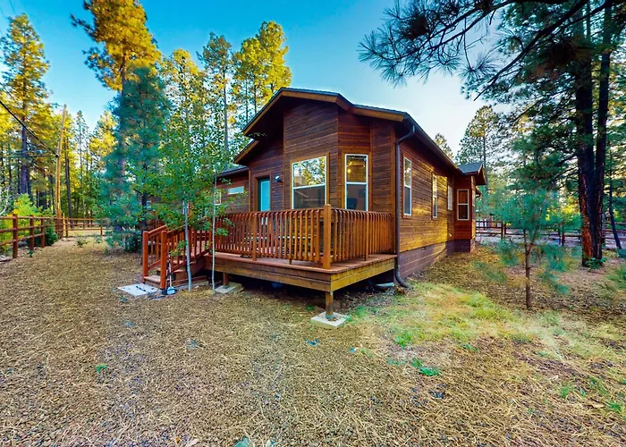 Tnt Az Indian Pine